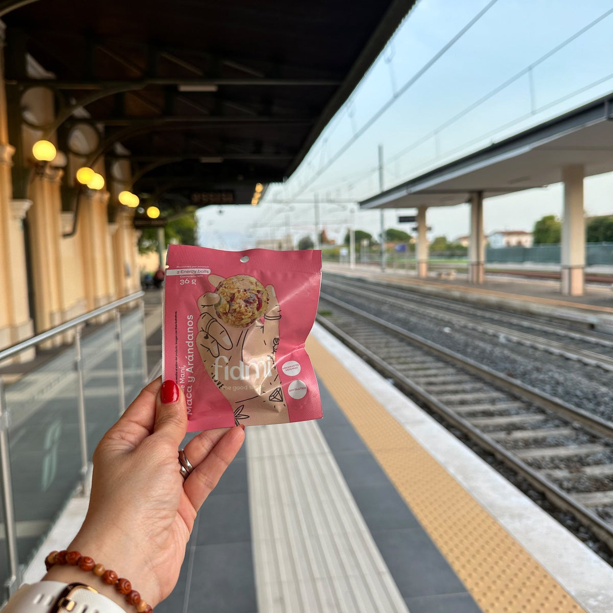 A Fidmi pack on a train platform